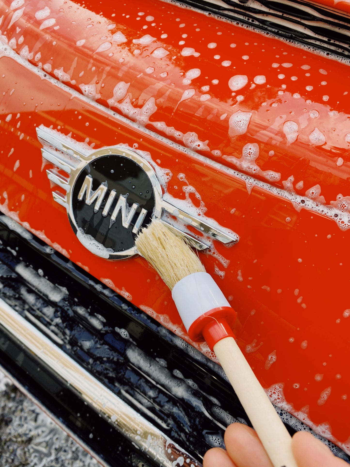 Size 16 Detailing Brush