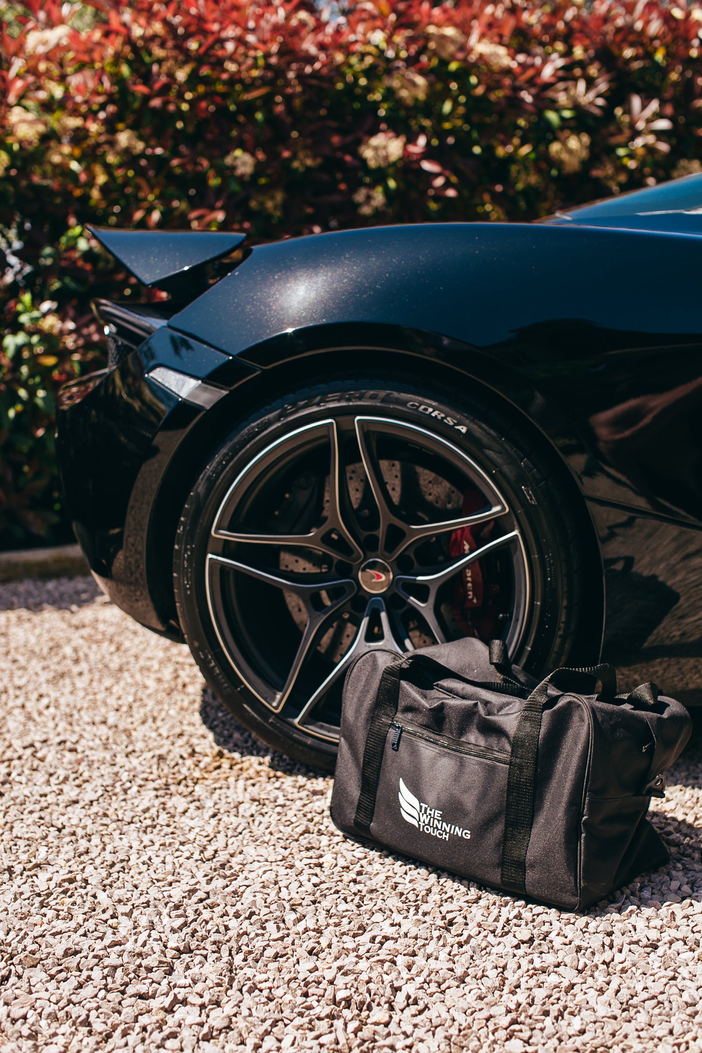Detailing Bag