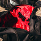 Detailing Bag